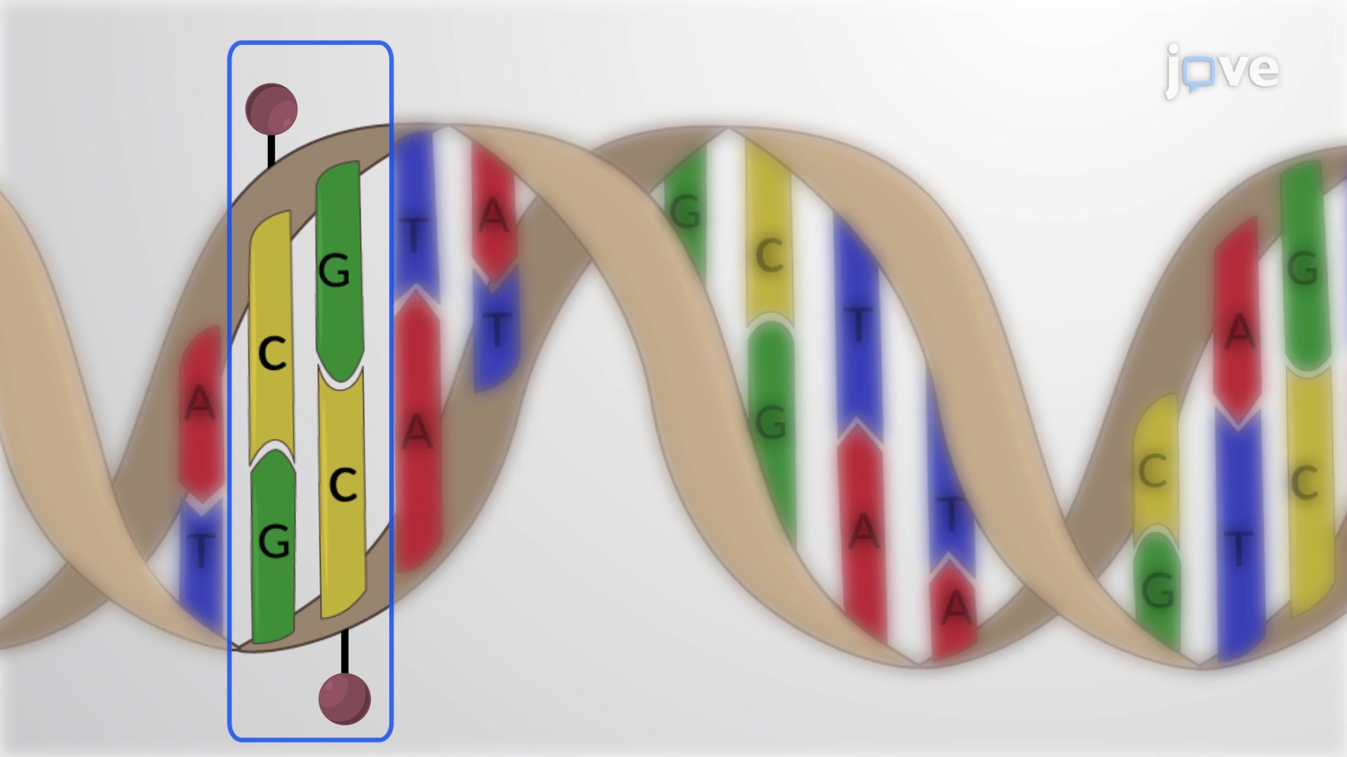 Onco-Second Opinion Engine